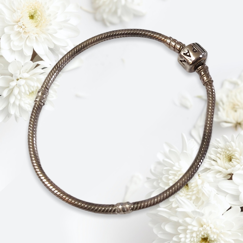 Pandora Snake Charm Bracelet #2